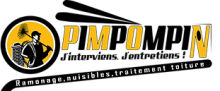 Ramonage traitement de toiture Martignas sur Jalle PIMPONPIN